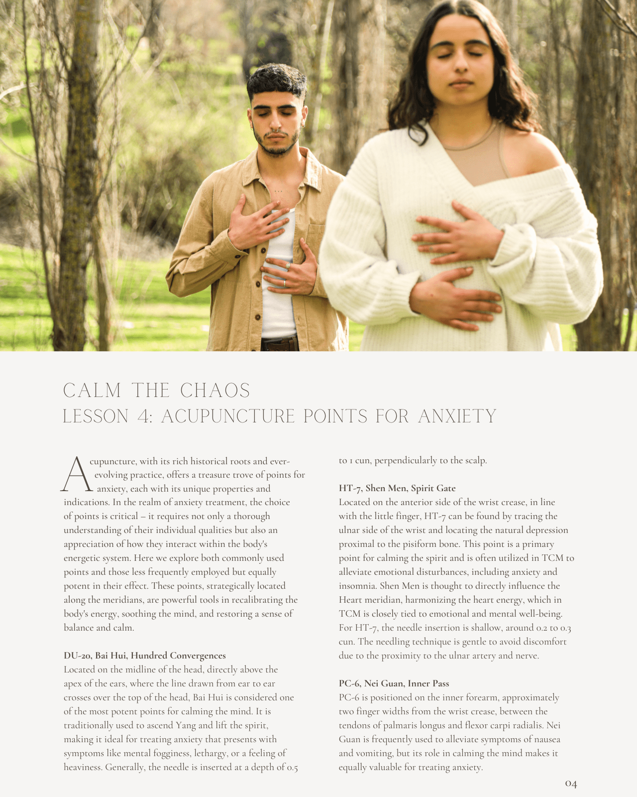 Calm The Chaos: The Acupuncture Approach to Anxiety - NCCAOM Continuing Education, AOM, 10 PDA ACEU Masters California Acupuncture Board NCCAOM Florida acupuncture continuing education CEU PDA