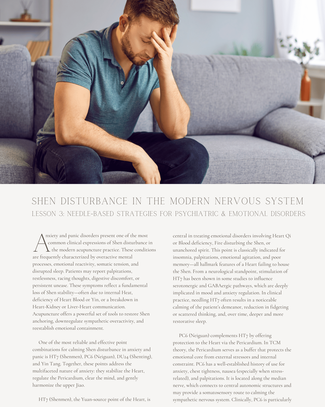 Shen Disturbance in the Modern Nervous System: Acupuncture Strategies for Spirit Regulation and Emotional Balance - NCCAOM Approved Acupuncture Continuing Education, AOM General Hours, 8 PDA/CEU ACEU Masters continuing education florida california nccaom australia uk canada