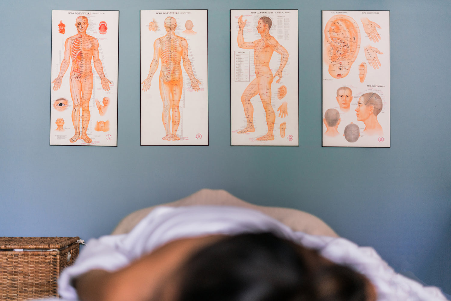 acupuncture-continuing-education-reference-charts-art