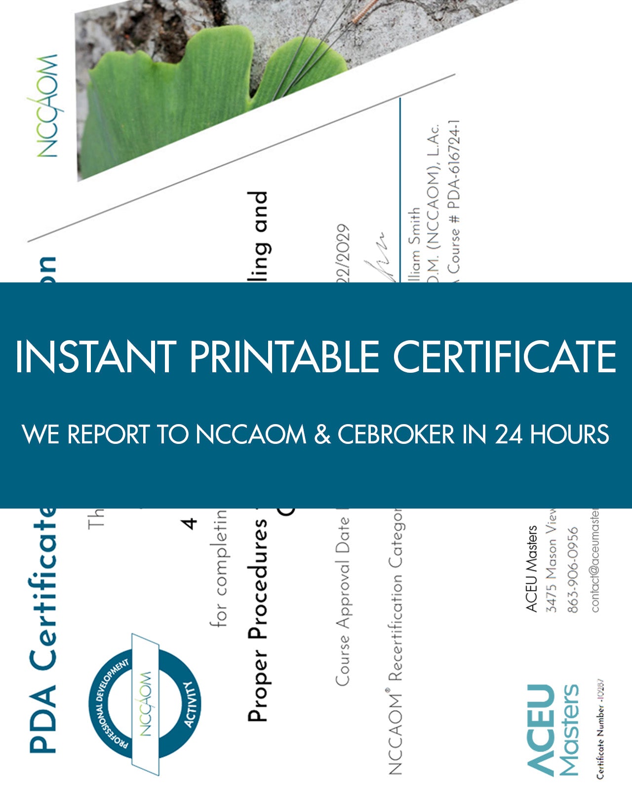 Rewiring the System: How Acupuncture Supports Neuroplasticity and Neurological Recovery - NCCAOM Approved Acupuncture Continuing Education, AOM, Biomedical Sciences, 5 PDA/CEU ACEU Masters continuing education florida california nccaom australia uk canada