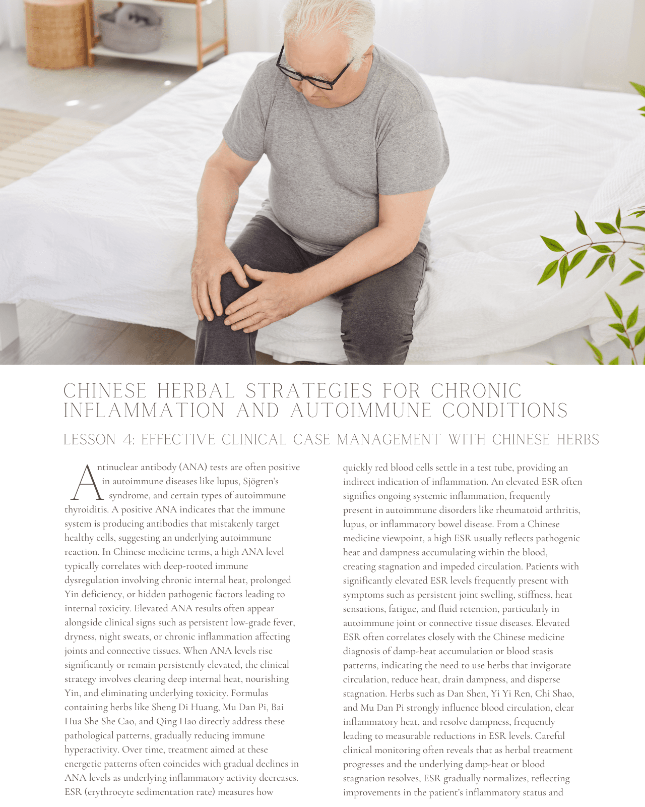 Calming the Fire: Chinese Herbal Approach for Chronic Inflammation and Autoimmune Conditions - NCCAOM Approved Acupuncture Continuing Education, AOM General Hours, Herbology, 6 PDA/CEU ACEU Masters continuing education florida california nccaom australia uk canada