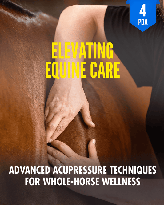 Elevating Equine Care: Advanced Acupressure Techniques for Whole-Horse Wellness - NCCAOM Approved Acupuncture Continuing Education, PE-CW, General Hours, 4 PDA/CEU ACEU Masters continuing education florida california nccaom australia uk canada
