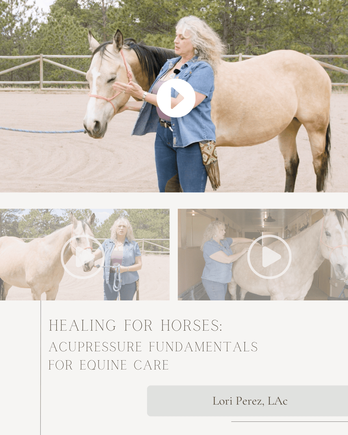 Healing for Horses: Acupressure Fundamentals for Equine Care - NCCAOM Approved Acupuncture Continuing Education, _, _ PDA/CEU ACEU Masters continuing education florida california nccaom australia uk canada