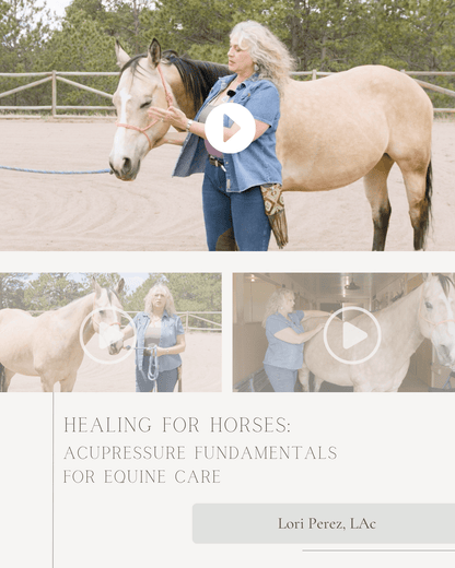 Healing for Horses: Acupressure Fundamentals for Equine Care - NCCAOM Approved Acupuncture Continuing Education, _, _ PDA/CEU ACEU Masters continuing education florida california nccaom australia uk canada