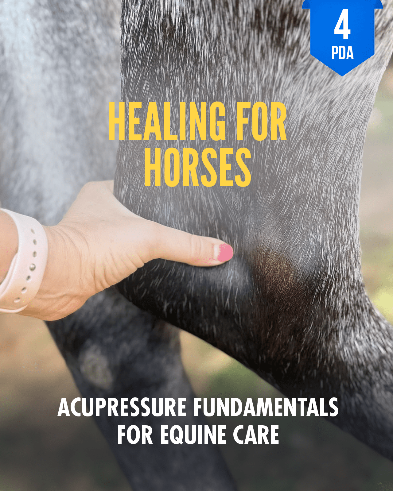 Healing for Horses: Acupressure Fundamentals for Equine Care - NCCAOM Approved Acupuncture Continuing Education, PE-CW, General Hours, 4 PDA/CEU ACEU Masters continuing education florida california nccaom australia uk canada