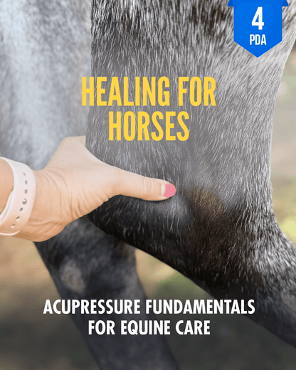 Healing for Horses: Acupressure Fundamentals for Equine Care - NCCAOM Approved Acupuncture Continuing Education, PE-CW, General Hours, 4 PDA/CEU ACEU Masters continuing education florida california nccaom australia uk canada