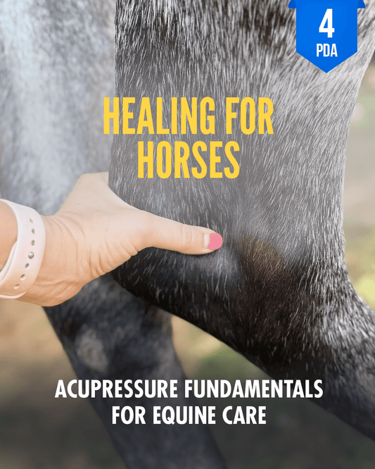 Healing for Horses: Acupressure Fundamentals for Equine Care - NCCAOM Approved Acupuncture Continuing Education, PE-CW, General Hours, 4 PDA/CEU ACEU Masters continuing education florida california nccaom australia uk canada