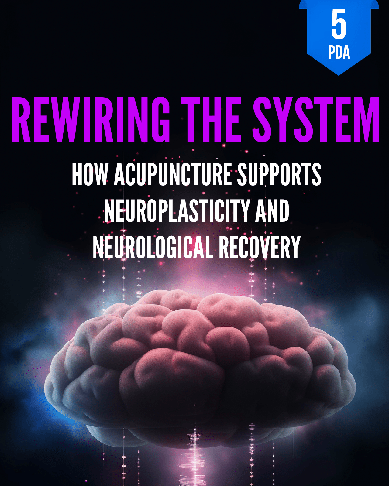 Rewiring the System: How Acupuncture Supports Neuroplasticity and Neurological Recovery - NCCAOM Approved Acupuncture Continuing Education, AOM, Biomedical Sciences, 5 PDA/CEU ACEU Masters continuing education florida california nccaom australia uk canada