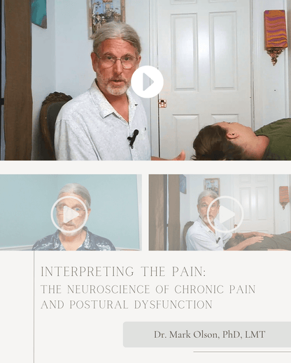 Interpreting the Pain: The Neuroscience of Chronic Pain and Postural Dysfunction - NCCAOM Approved Acupuncture Continuing Education, _, _ PDA/CEU ACEU Masters continuing education florida california nccaom australia uk canada