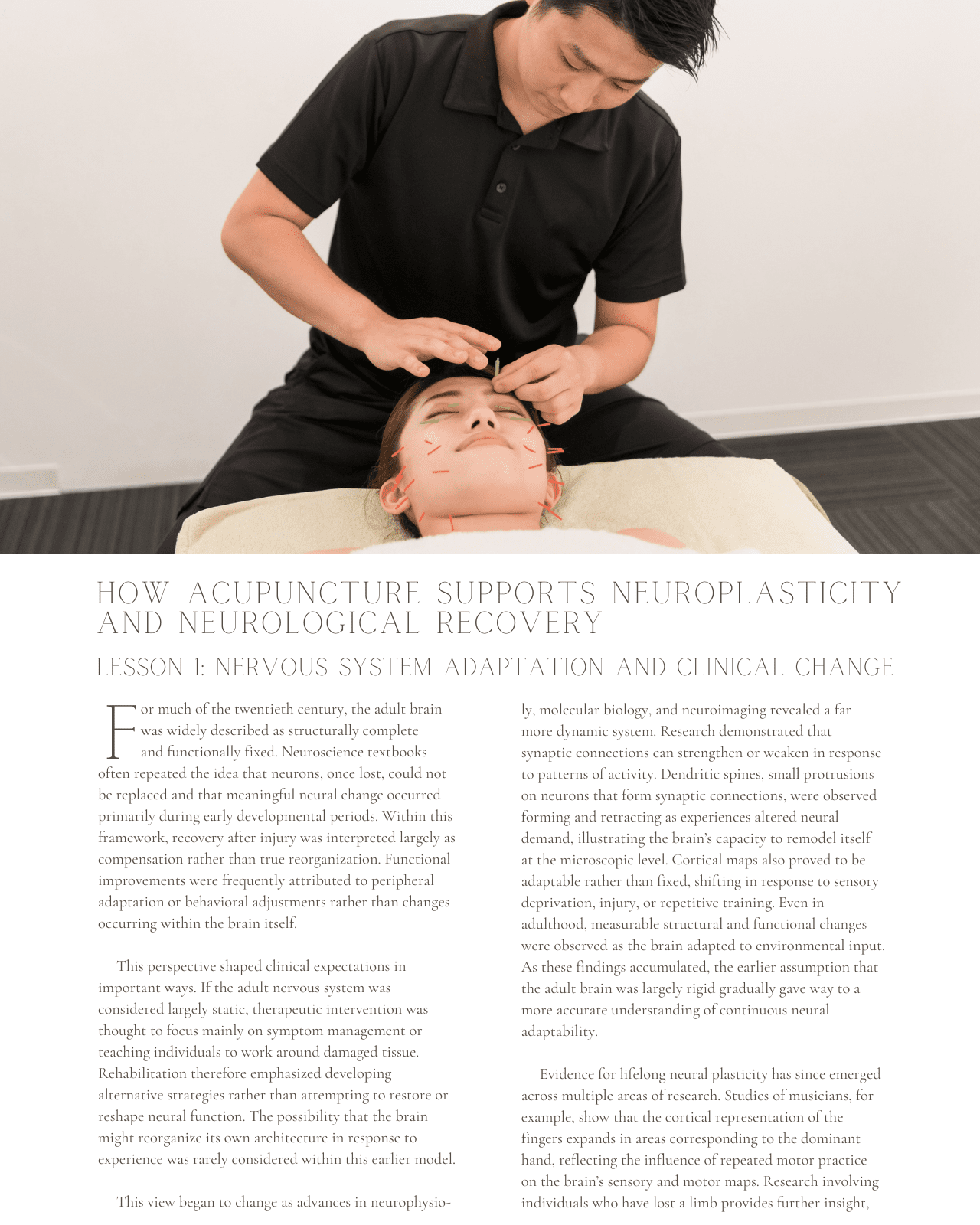 Rewiring the System: How Acupuncture Supports Neuroplasticity and Neurological Recovery - NCCAOM Approved Acupuncture Continuing Education, AOM, Biomedical Sciences, 5 PDA/CEU ACEU Masters continuing education florida california nccaom australia uk canada