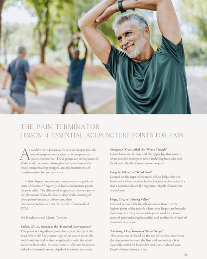 The Pain Terminator: Mastering Acupuncture for Relief - Florida Board of Acupuncture Continuing Education, 10 CEU ACEU Masters continuing education provider