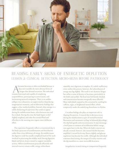 The Subtle Body at Work: Reading Early Signs of Energetic Depletion - NCCAOM Approved Acupuncture Continuing Education, AOM General Hours, 7 PDA/CEU ACEU Masters continuing education florida california nccaom australia uk canada