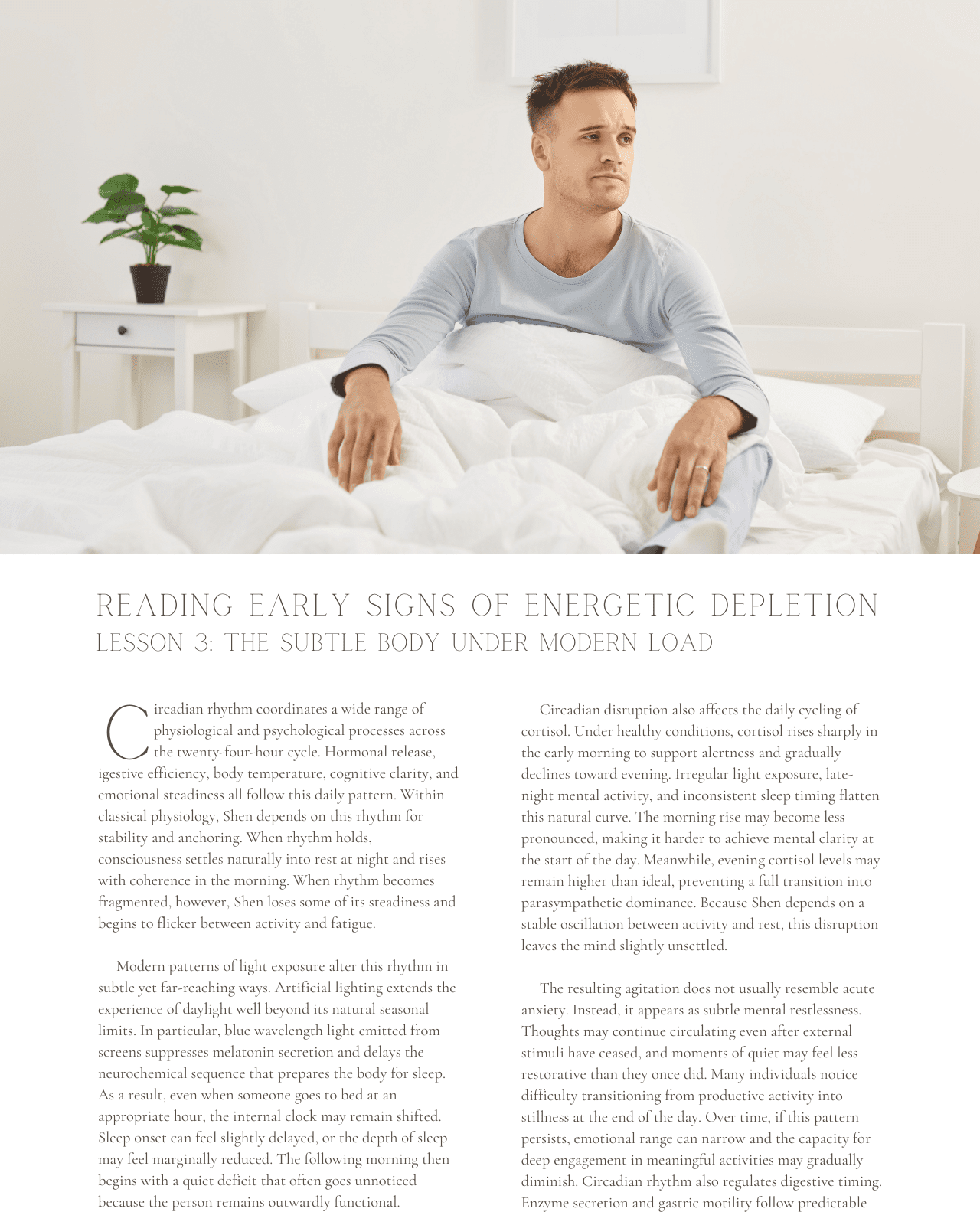 The Subtle Body at Work: Reading Early Signs of Energetic Depletion - NCCAOM Approved Acupuncture Continuing Education, AOM General Hours, 7 PDA/CEU ACEU Masters continuing education florida california nccaom australia uk canada